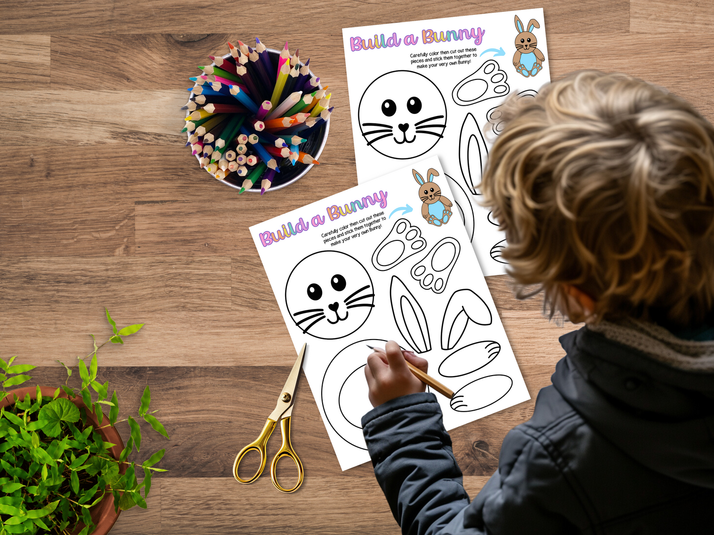 Build a Bunny