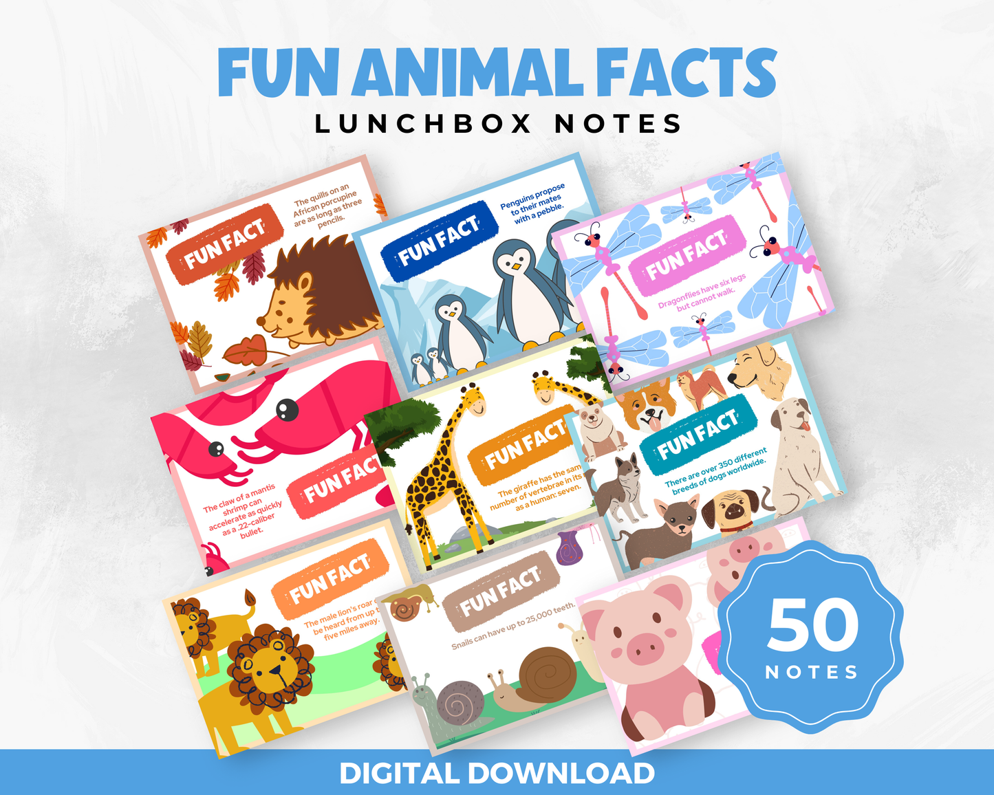 Fun Animal Facts Lunchbox Notes