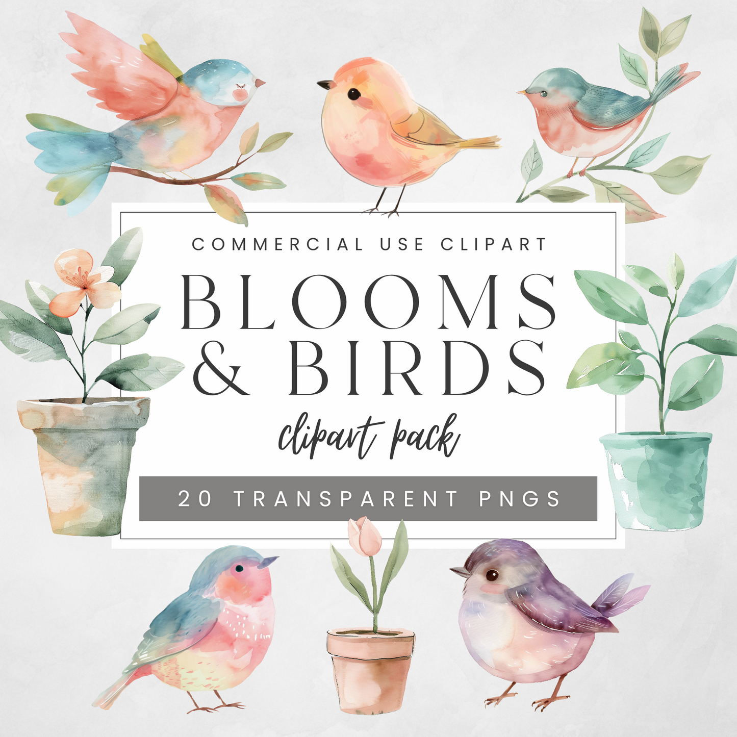 Blooms & Birds Clipart Pack