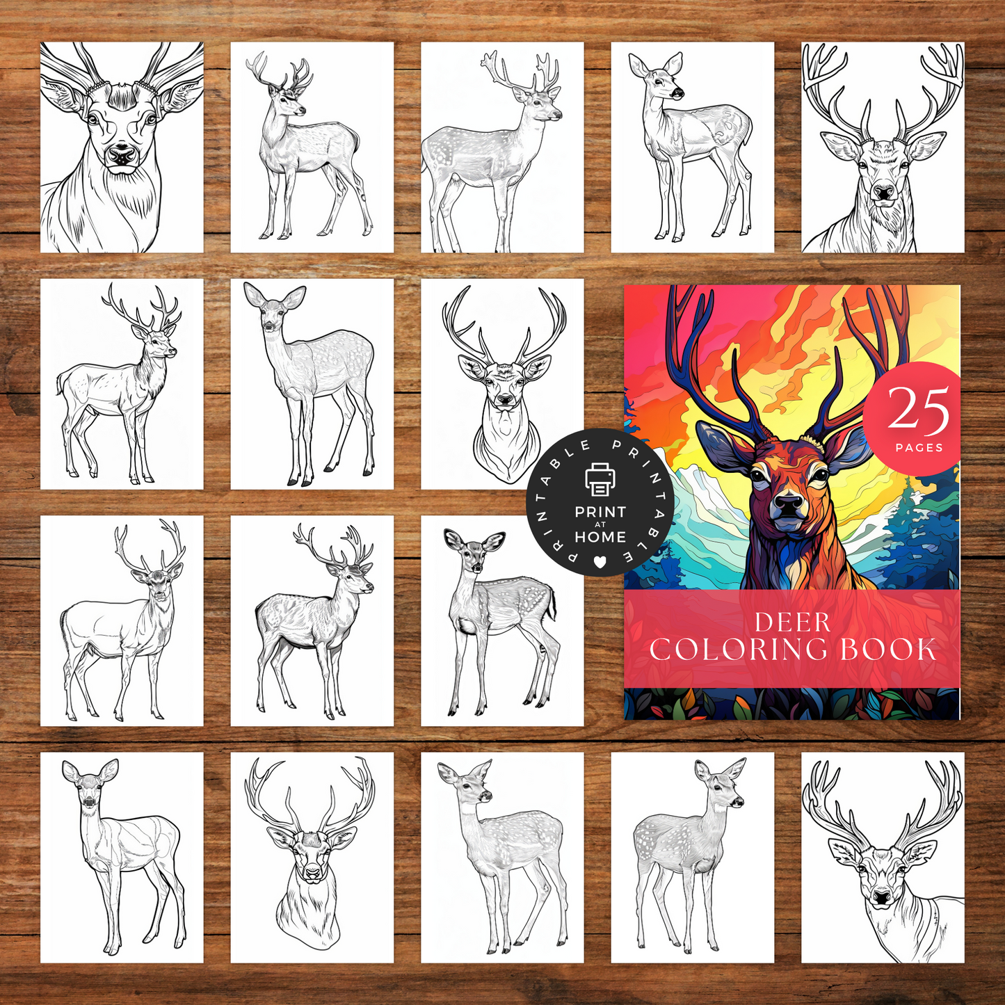 Deer - Coloring Book