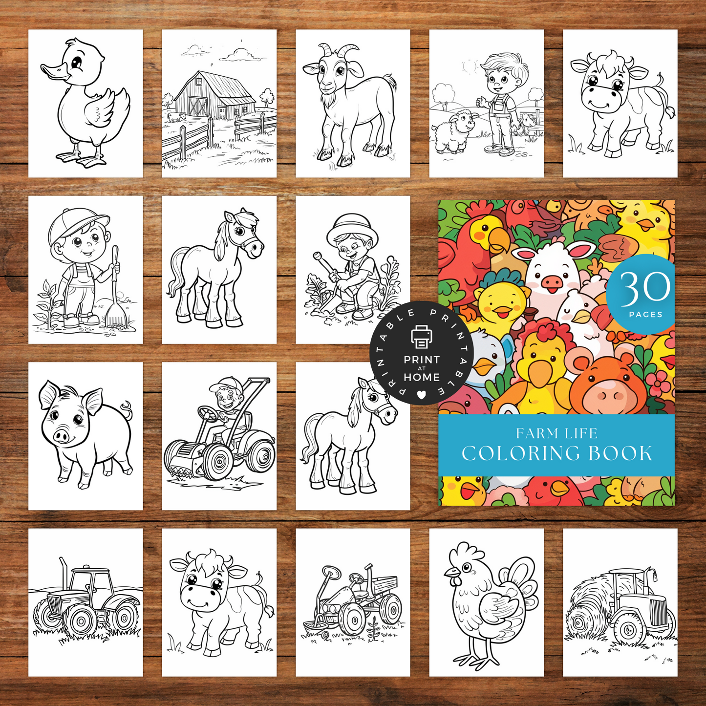 Farm Life - Coloring Book