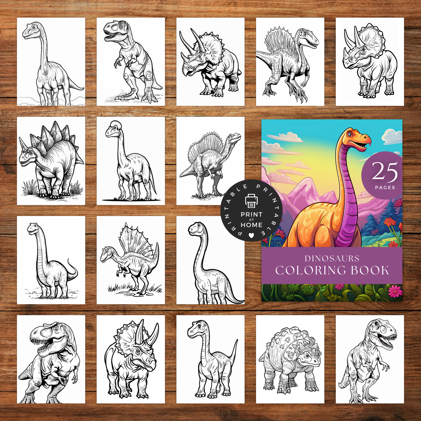 Dinosaurs - Coloring Book