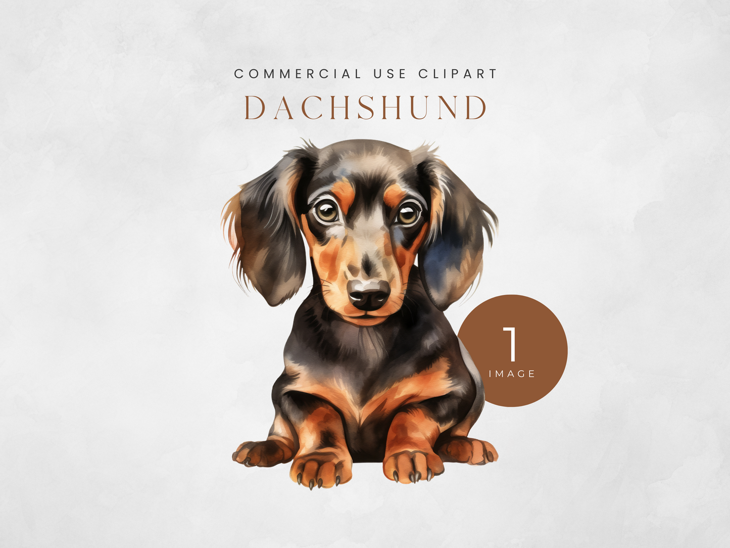 Dachshund - $1 Single Clipart