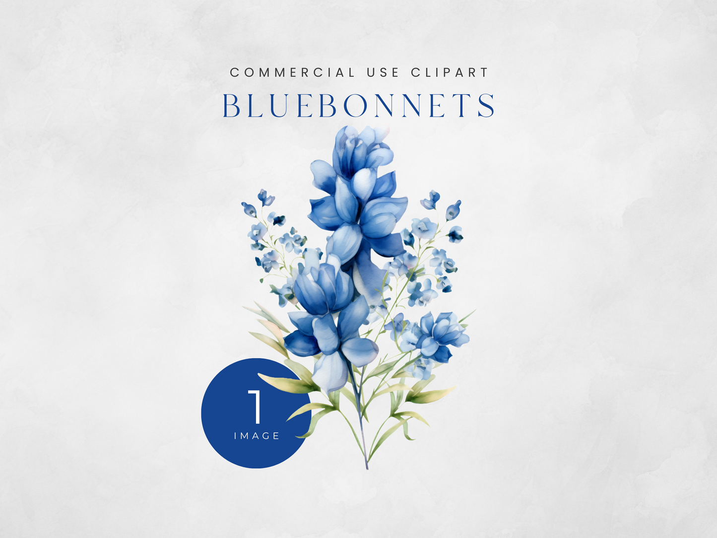 Bluebonnet - $1 Single Clipart