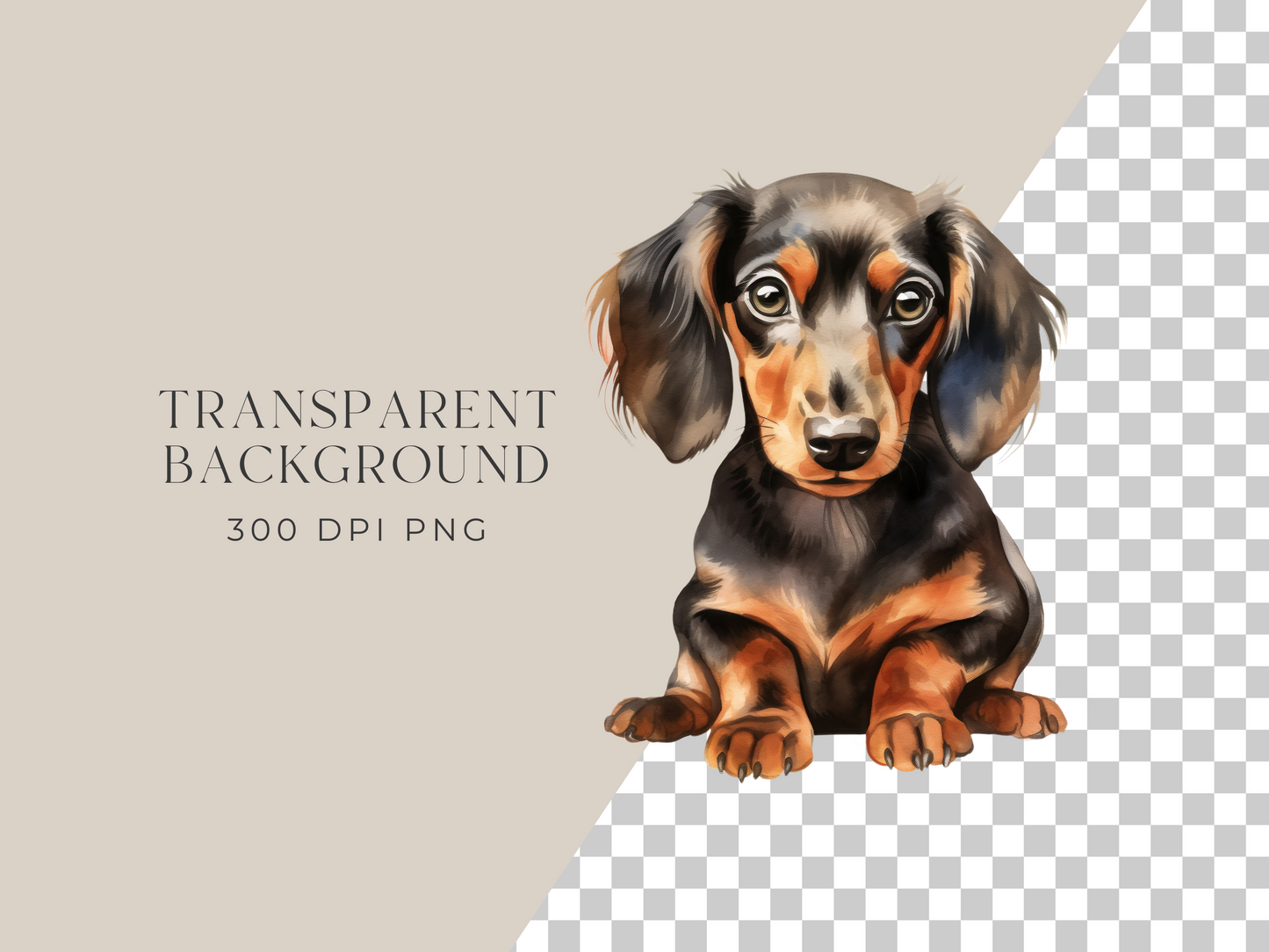 Dachshund - $1 Single Clipart