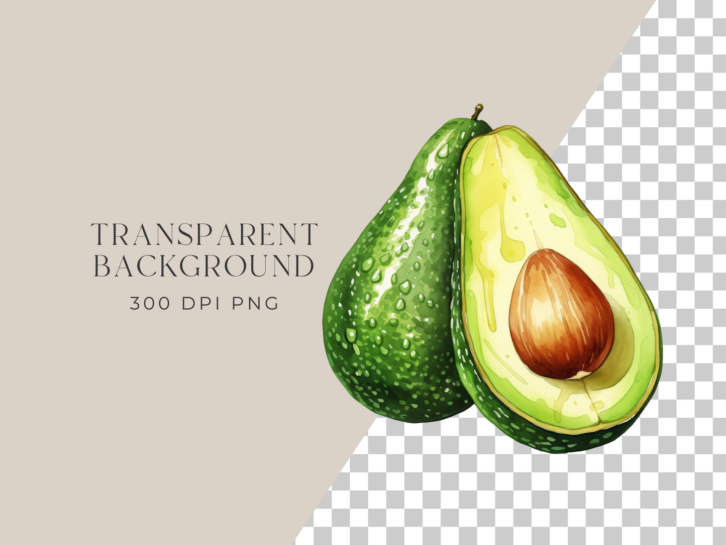 Avocado - $1 Single Clipart